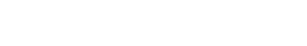 Lingua Berlin